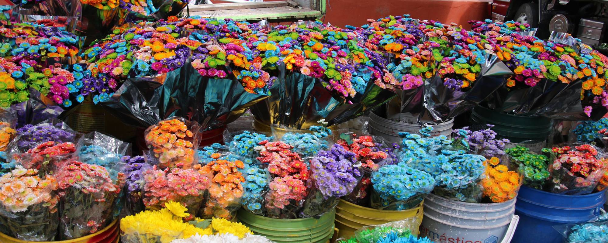 flowers