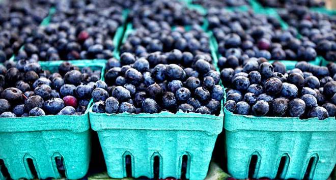 Peru will continue to supply blueberries to the world