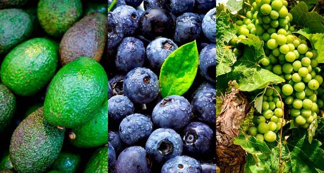 Peruvian avocados, blueberries and grapes showcased at UK’s most important trade fair