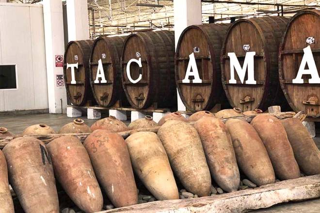 Wine Tour - Tacama