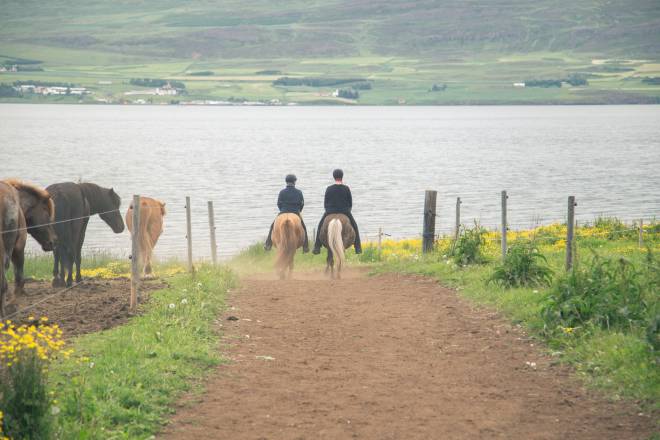 Horseriding in Eyjafjörður, North Iceland