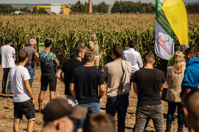 Corn Cultivation in Poland