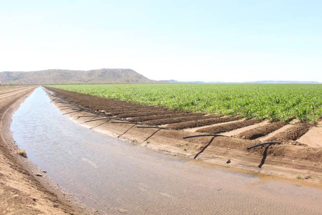 Irrigation - Kununurra, Western Australia