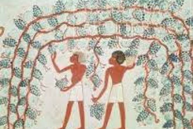 Wine making in Pharaonic times