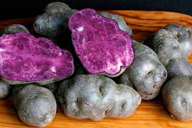 Purple potato