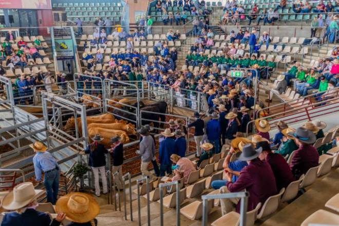 Beef 2027 Rockhampton, Australia