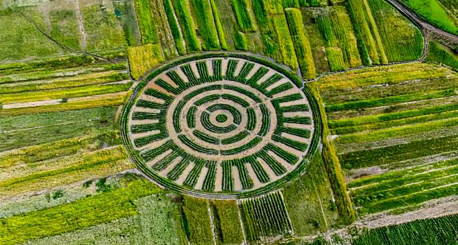 Puno: Waru Waru recognised as Agricultural Heritage by the World Monuments Fund