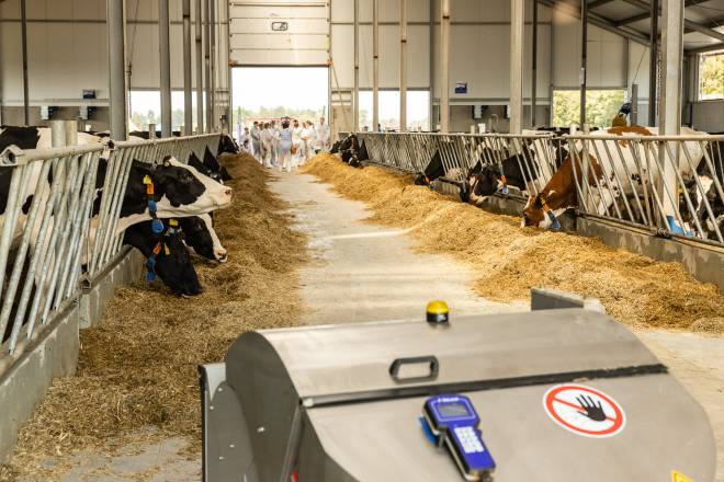 Feed Moving Robot on Polish Dairy Farms