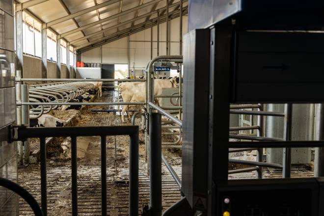 Dairy Farms in Poland