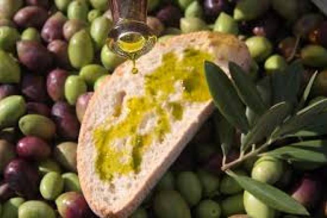 OLIVE OIL ANDALUSIA