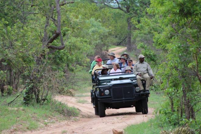 Safari in Africa - We can take you there!