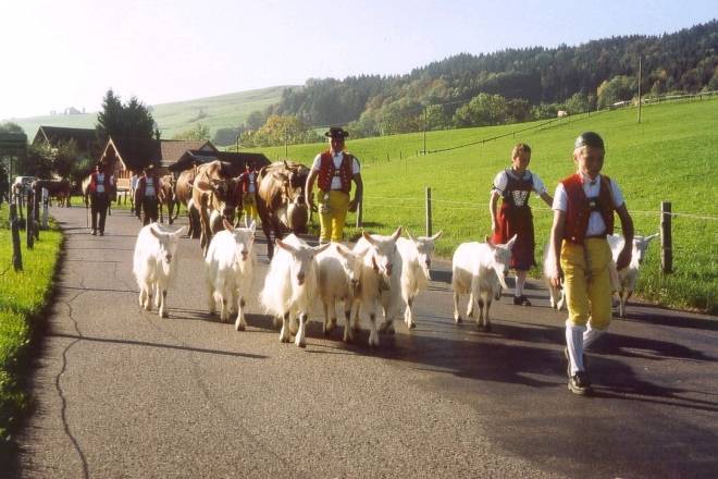 Swiss Agriculture