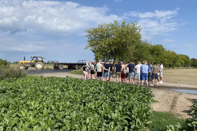 Sugar Beet Cultivation in Poland