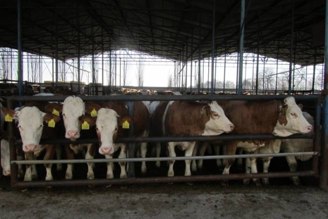 Agriculture tour Slovakia