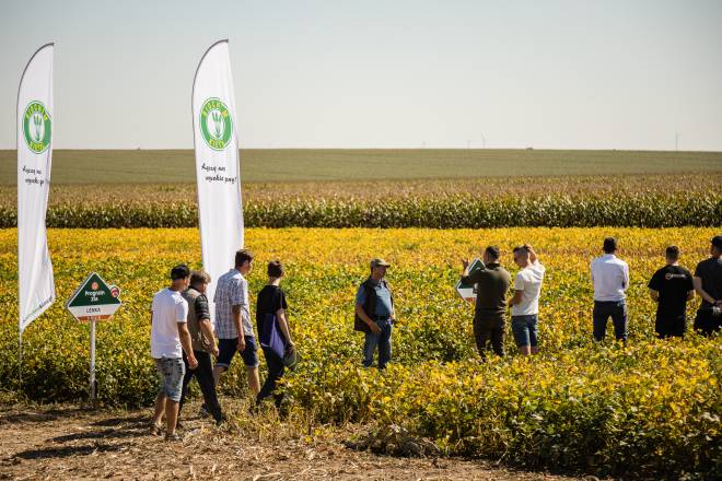 Soybean Cultivation in Poland