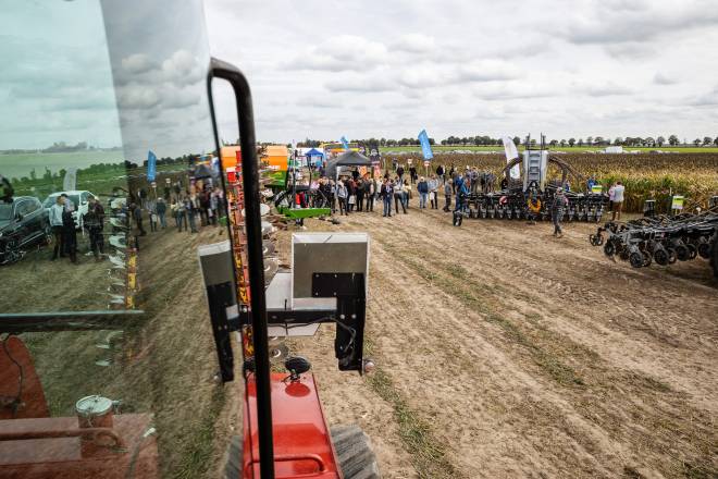 Sunflower cultivation in Poland