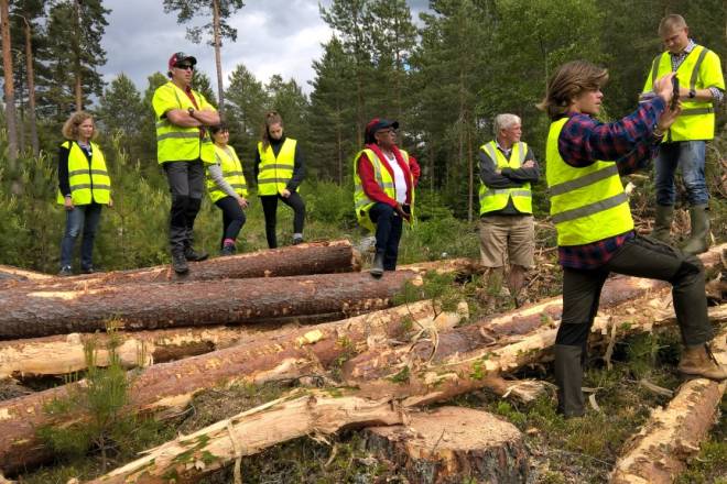 Discovering Swedish Forest