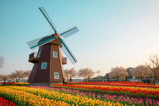 The Netherlands