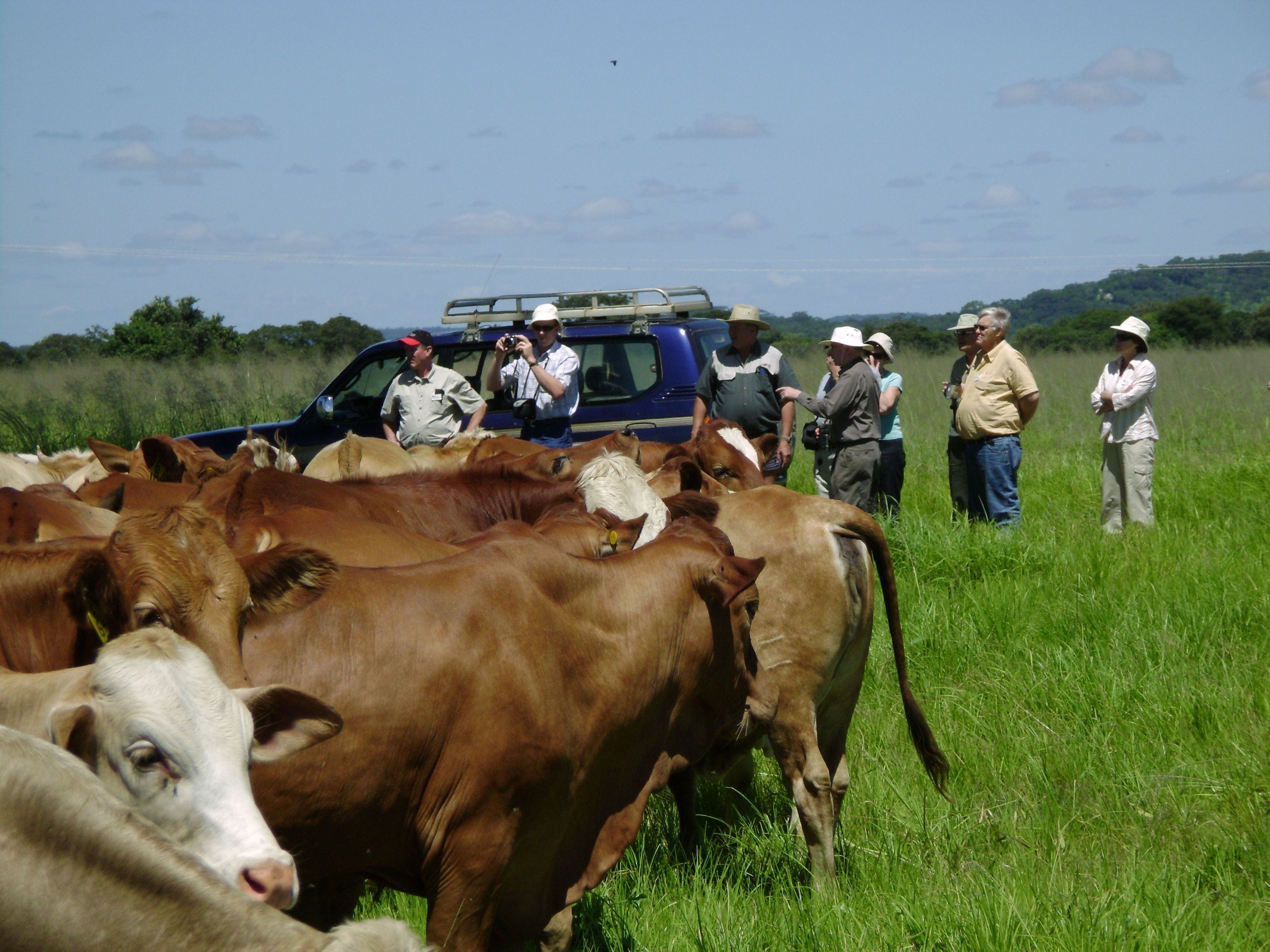 ZAMAG TOURS AND SAFARIS Zambia Africa ATOI