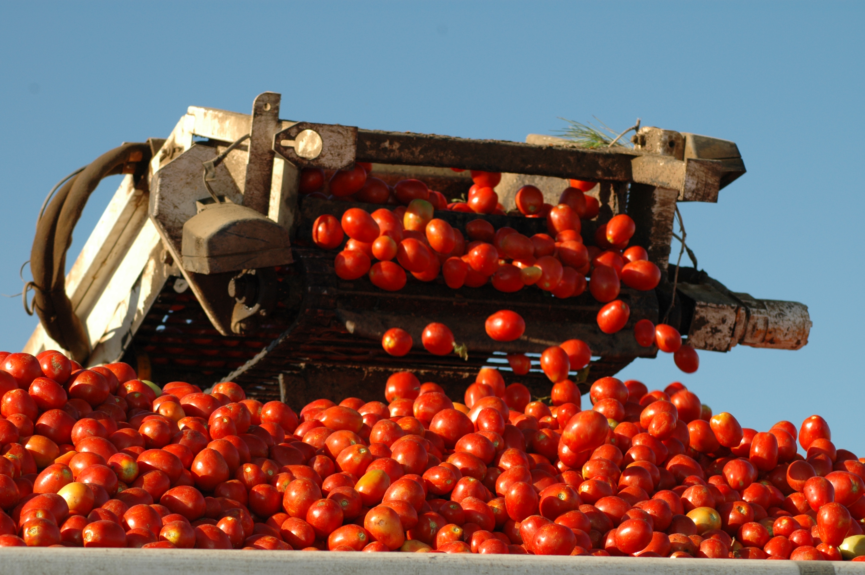 to California Harvest Travel International Image Gallery ATOI