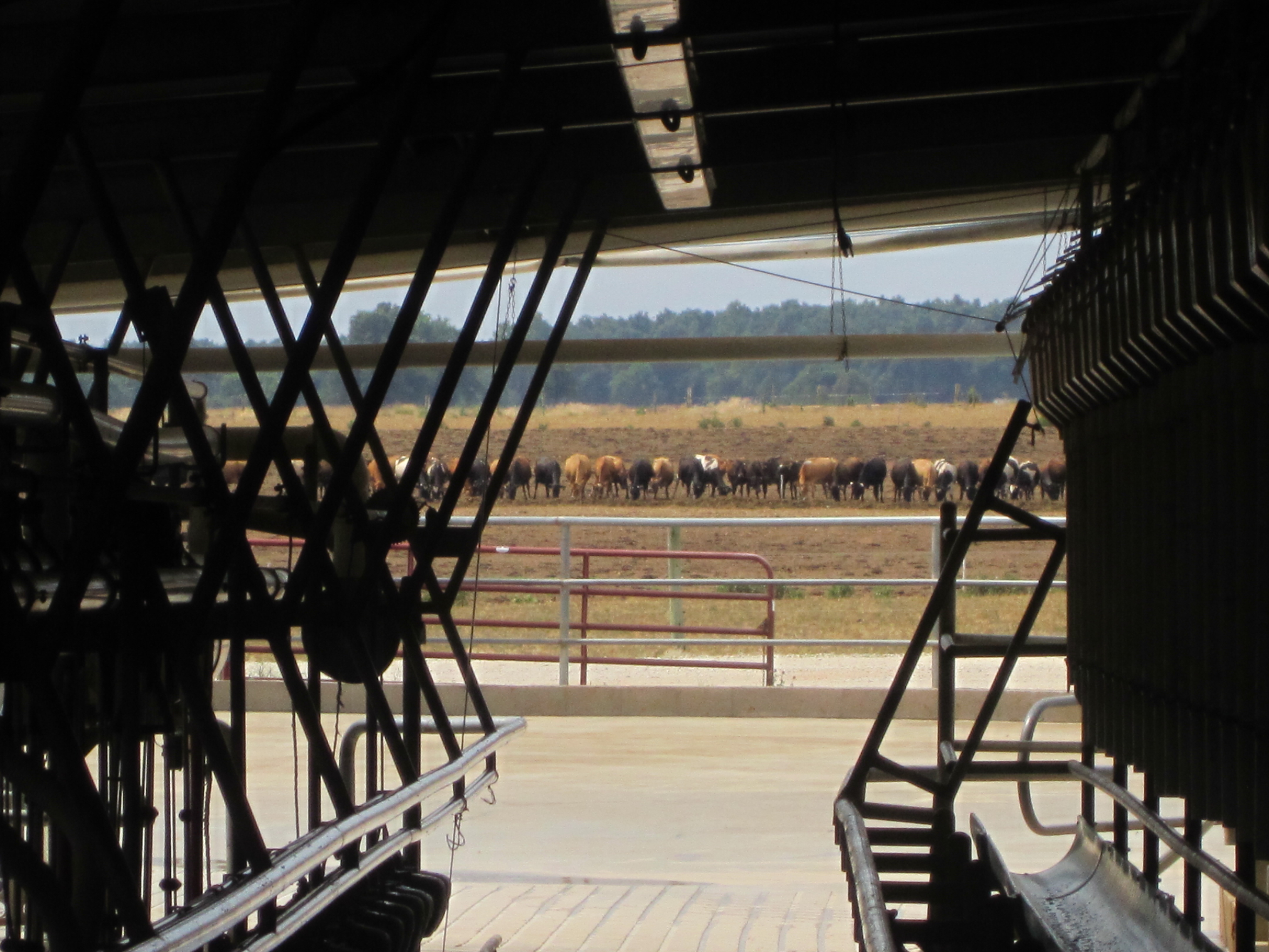 Livestock USA Farm Tours TRUMP TOURS Image